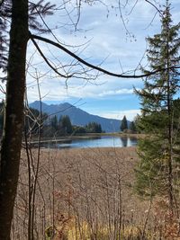 Schlossweiher in Richtung Alpspitz